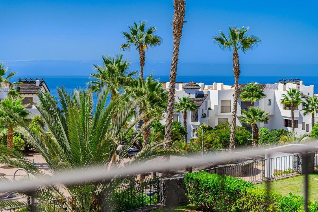 Apartment in Guia de Isora, Canary Islands, Spain 5 - 17099483