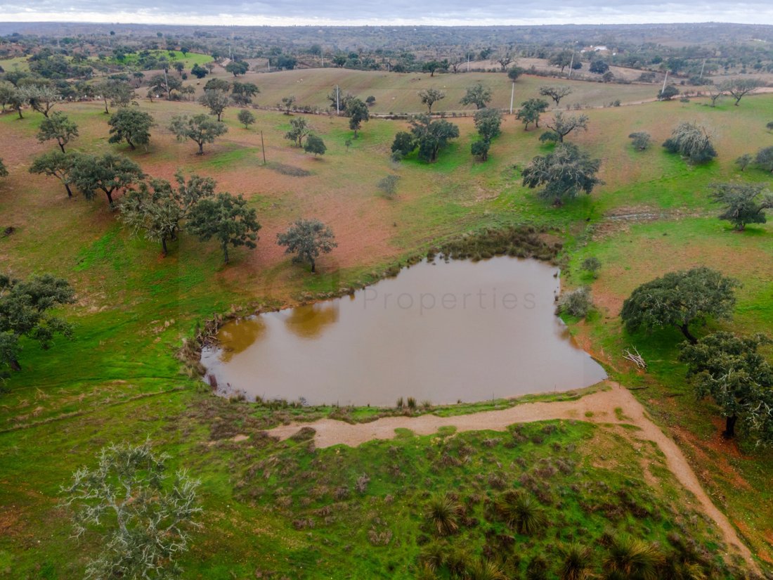 Finca in Vila Verde de Ficalho, Beja District, Portugal 4 - 17123572