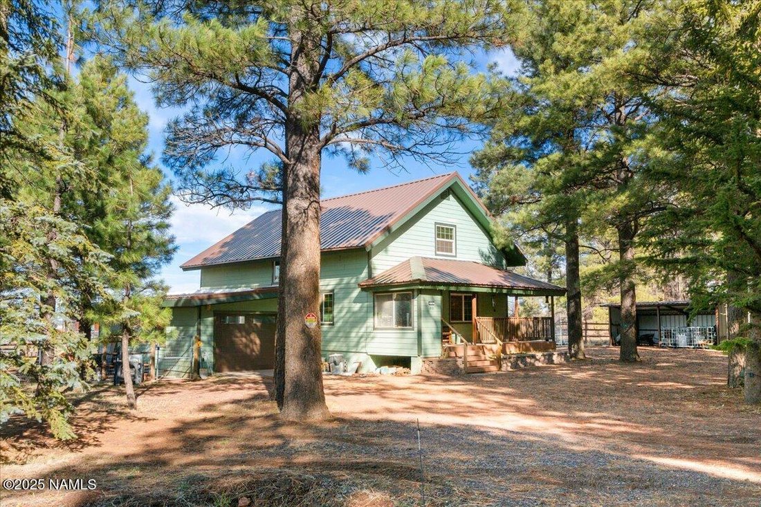 House in Mormon Lake, Arizona, United States 3 - 17102004