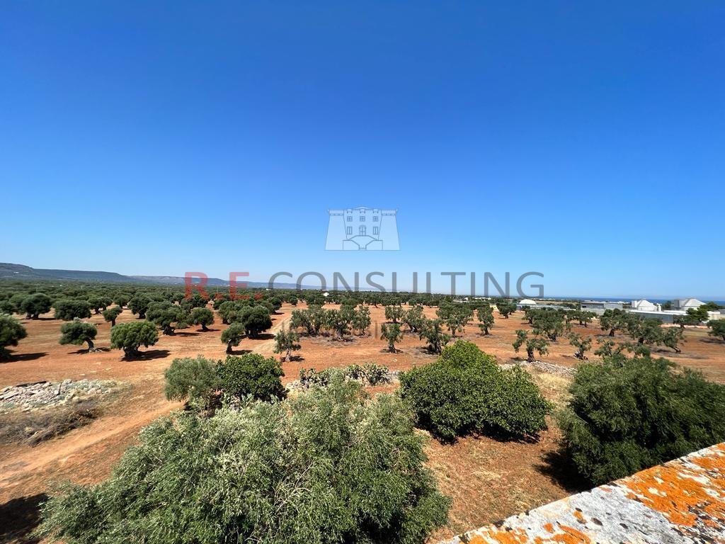 Farm Ranch in Ludovico Straße - Corso Umberto I - Vittorio Emanuele Straße, Ostuni, Apulien 5 - 12890380