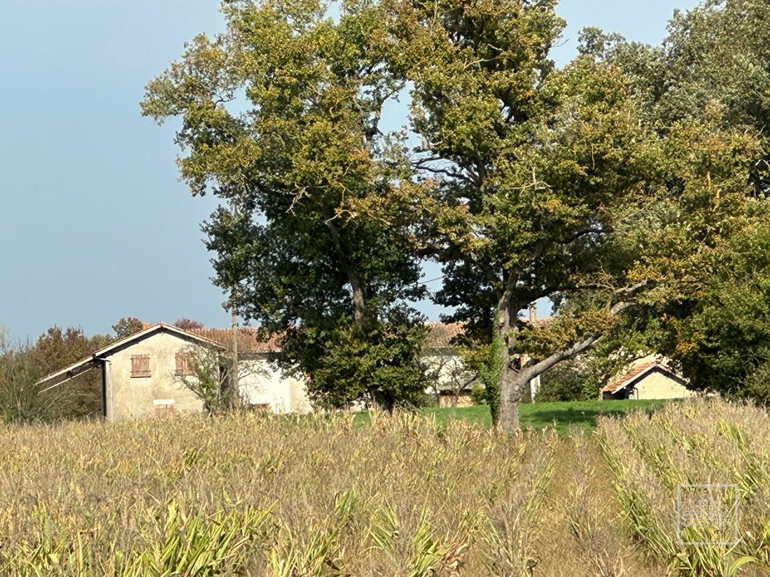 Estate in Lapeyrouse, Auvergne-Rhône-Alpes, France 5 - 17099656