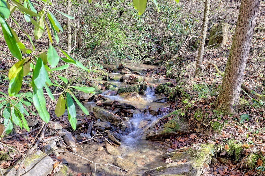House in Brasstown, North Carolina, United States 2 - 17102670