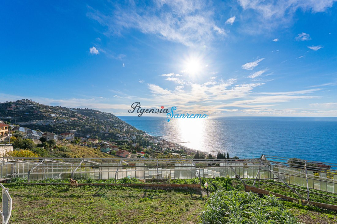Marconi - Porrine, Ospedaletti, Liguria 2 - 16994565