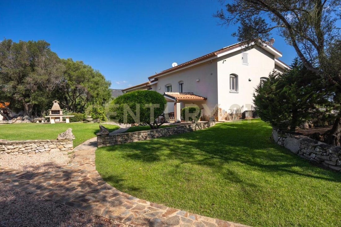 Villa in Aldo Moro Avenue, Olbia, Italy 5 - 16915091