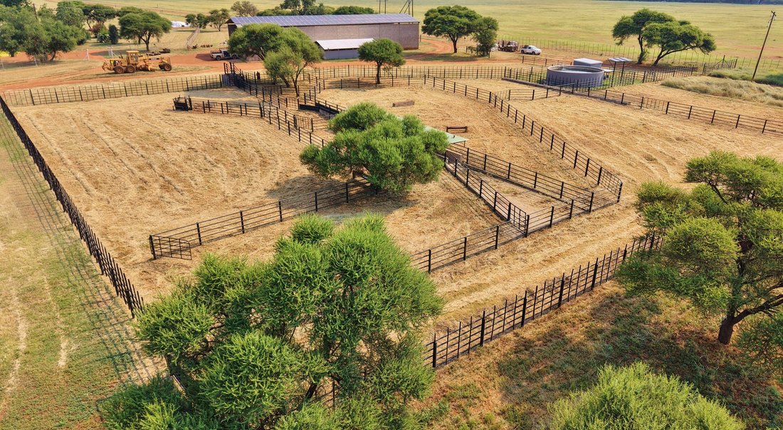 Farm Ranch in Thabazimbi, Limpopo, South Africa 4 - 17100281