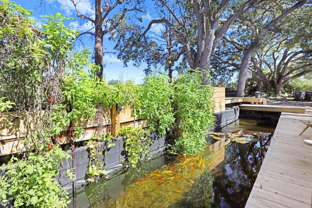 House in Land O' Lakes, Florida, United States 4 - 17128532