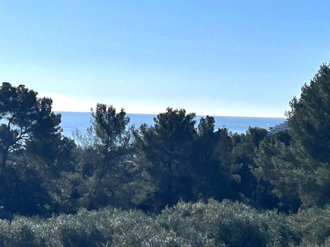 Apartment in Saint Veran, Cagnes-sur-Mer, France 2 - 17090920