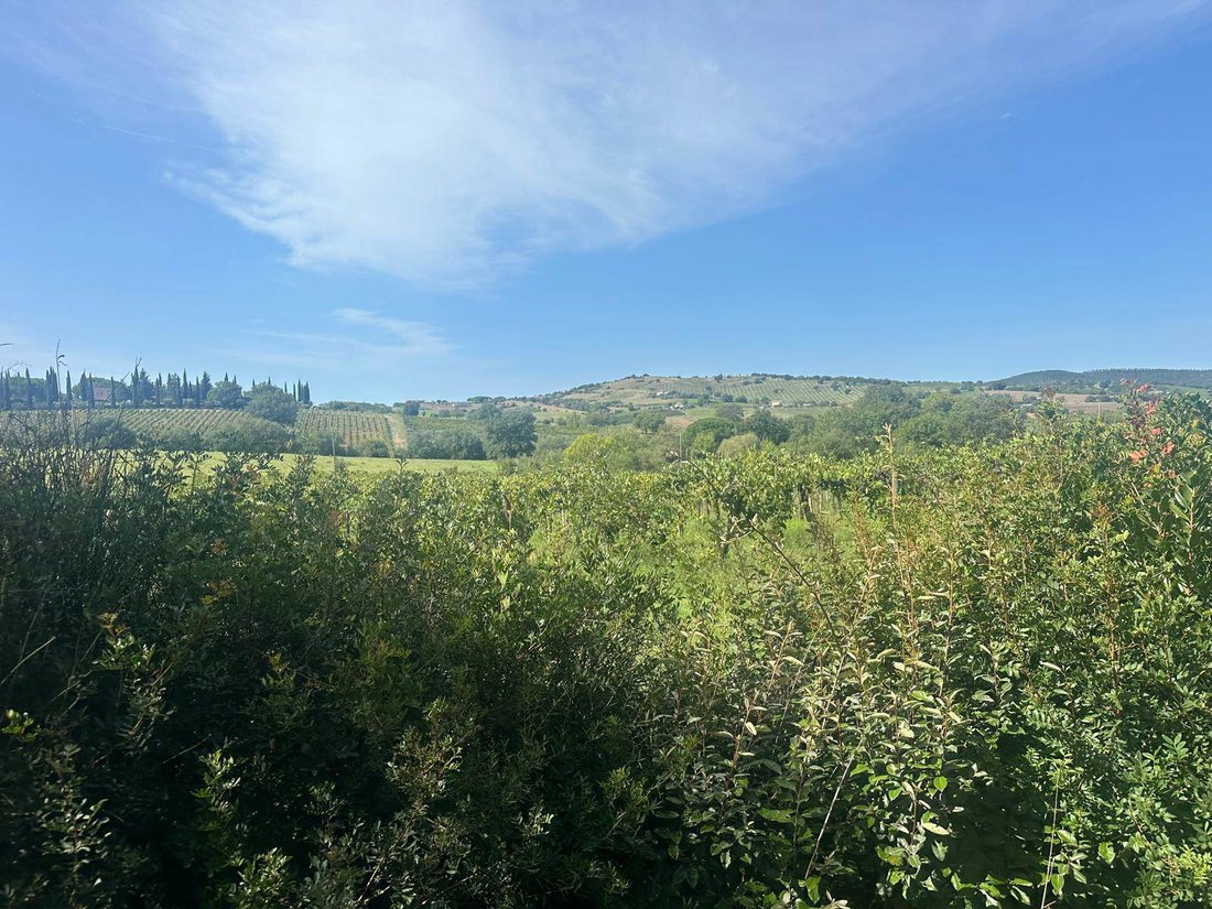 Country House in Magliano in Toscana, Tuscany, Italy 2 - 17131436