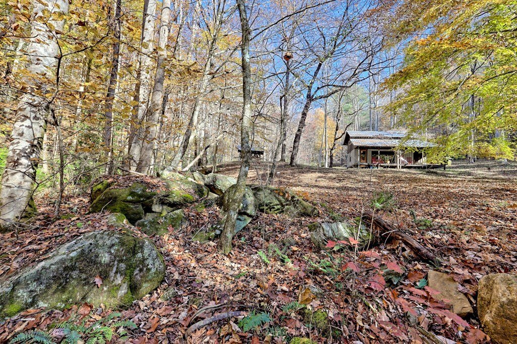 House in Brasstown, North Carolina, United States 3 - 17102670