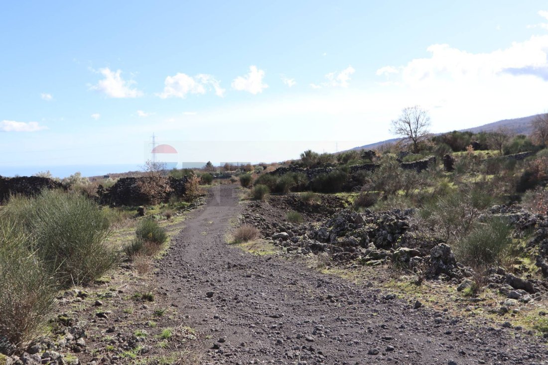 Land in Linguaglossa, Sicily, Italy 2 - 17111333
