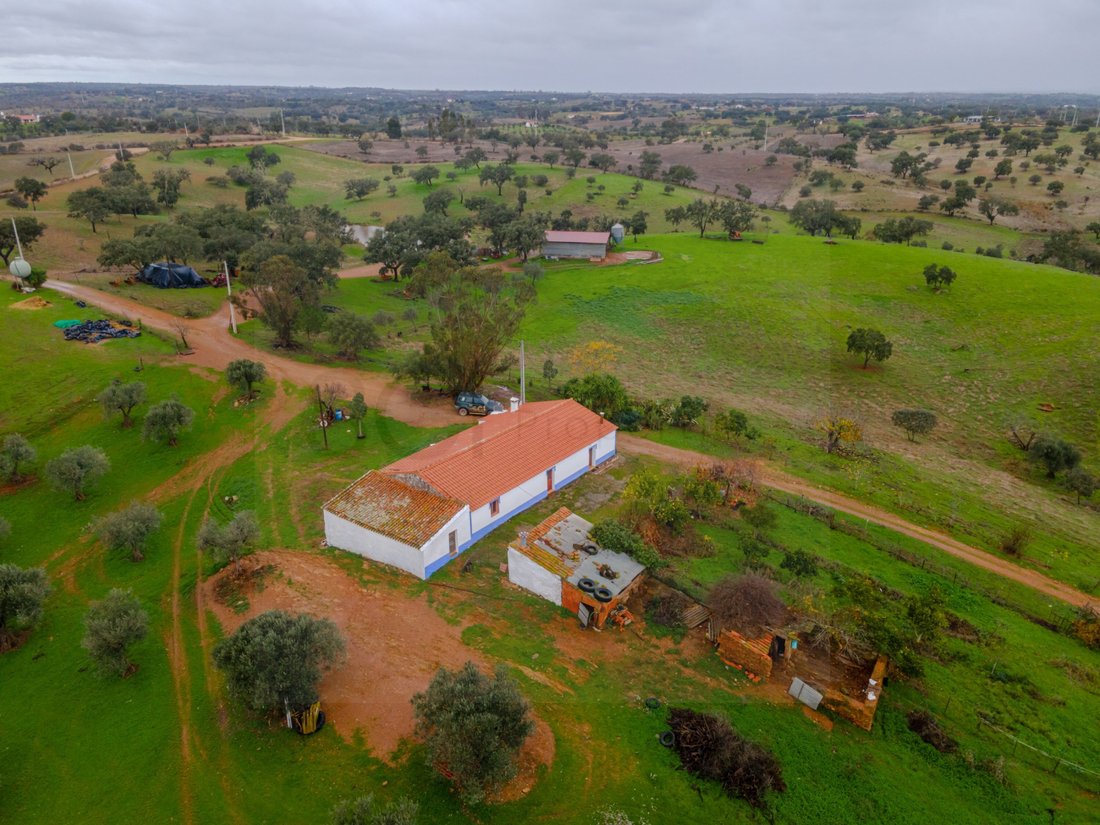 Finca in Vila Verde de Ficalho, Beja District, Portugal 3 - 17123572