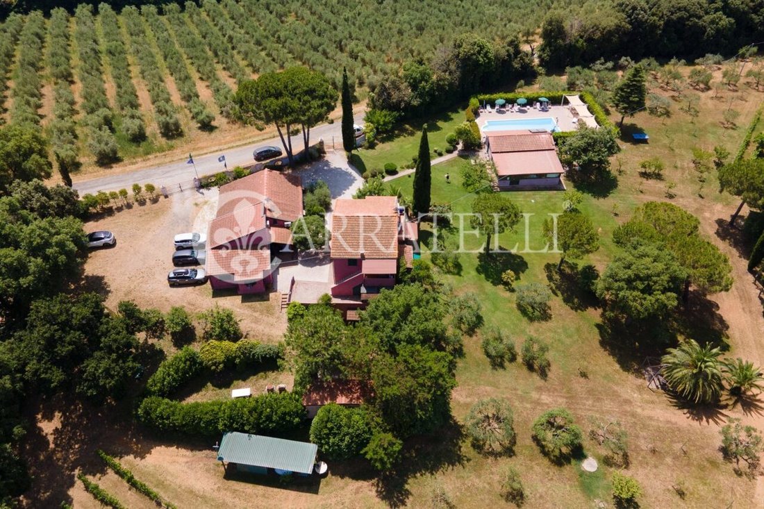 Country House in Bibbona, Tuscany, Italy 5 - 15844662