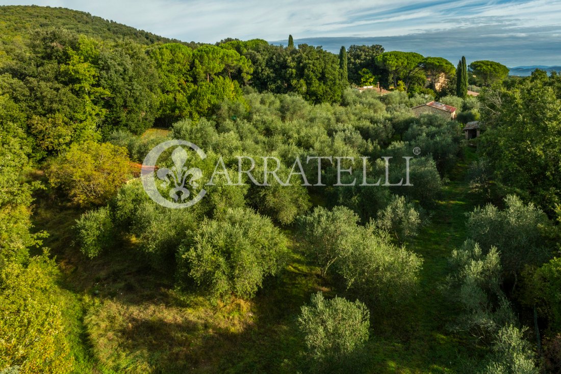 Country House in Monteriggioni, Tuscany, Italy 5 - 14849509