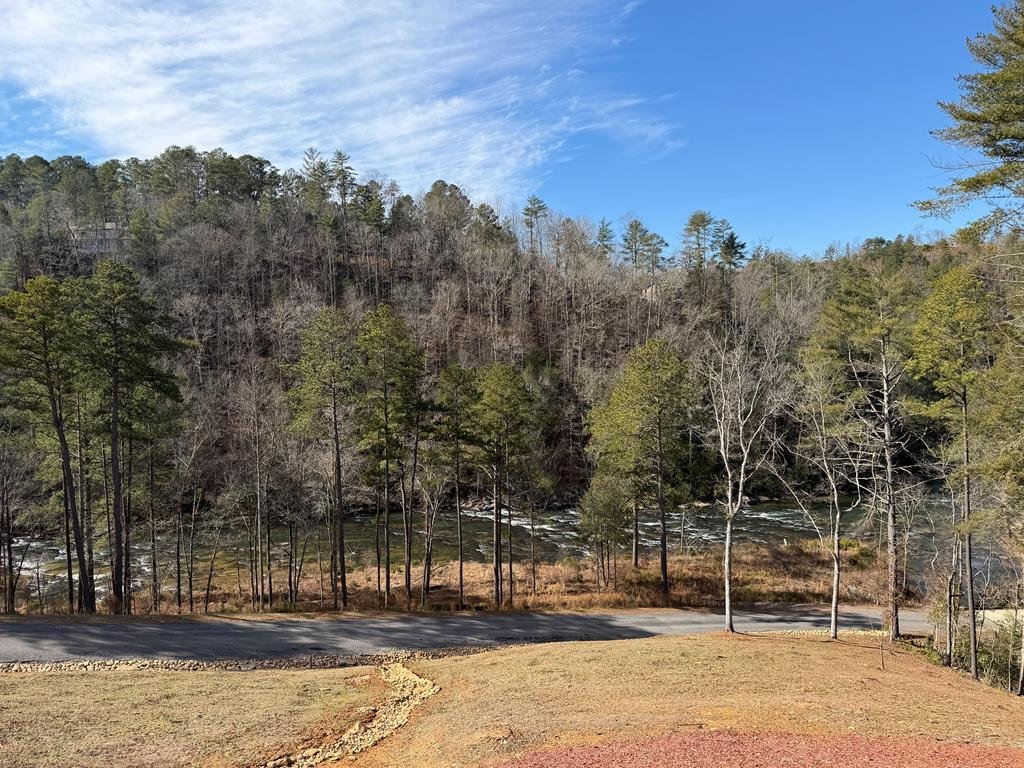 Haus in Ellijay, Georgia, Vereinigte Staaten 3 - 17102609