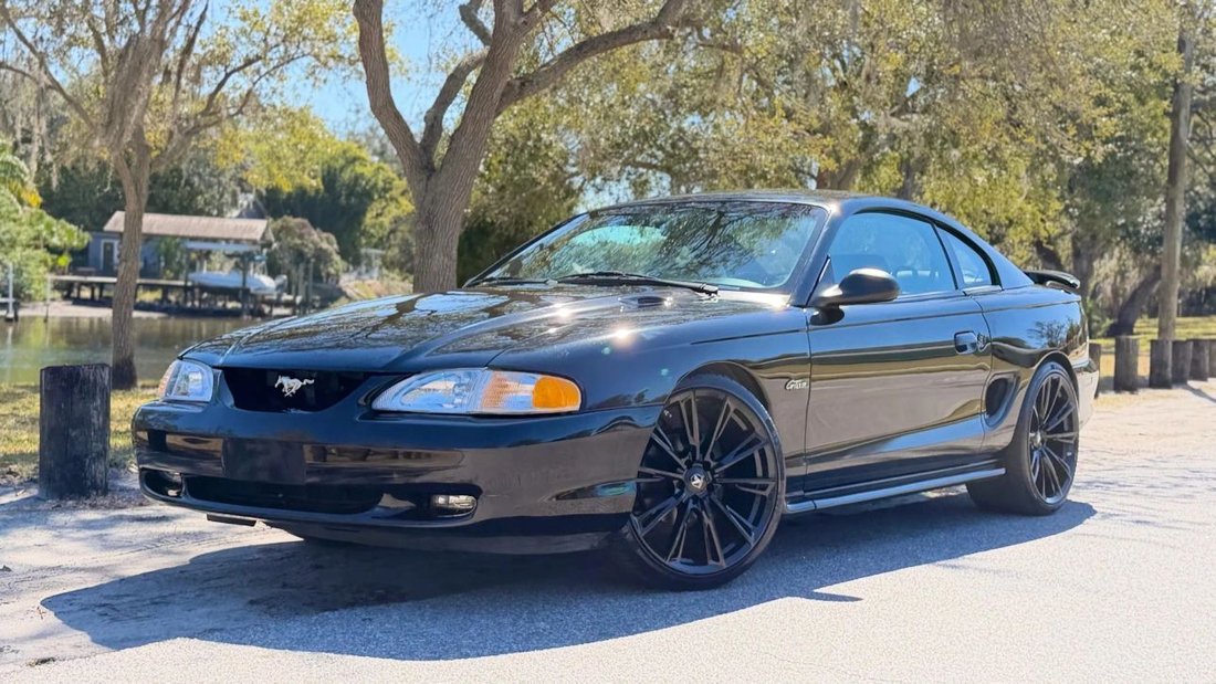 Coupe in Tampa, FL, United States 1 - 16909854