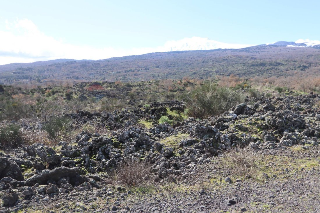 Land in Linguaglossa, Sicily, Italy 3 - 17111333