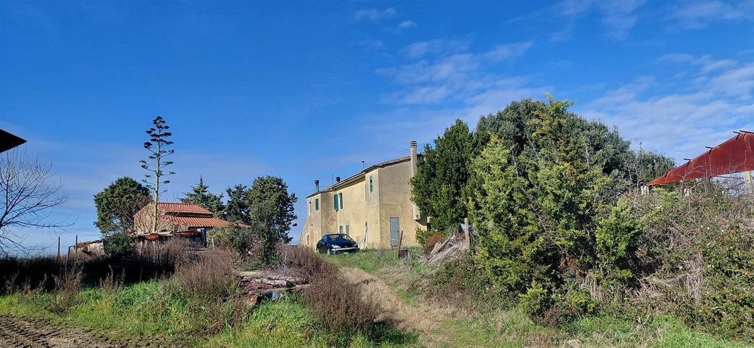 Estate in Scansano, Tuscany, Italy 4 - 17104344