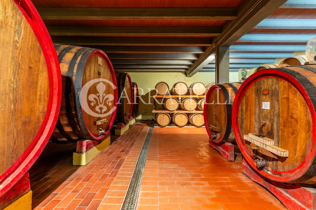 Gaiole in Chianti, Tuscany, Italy 3 - 15880159