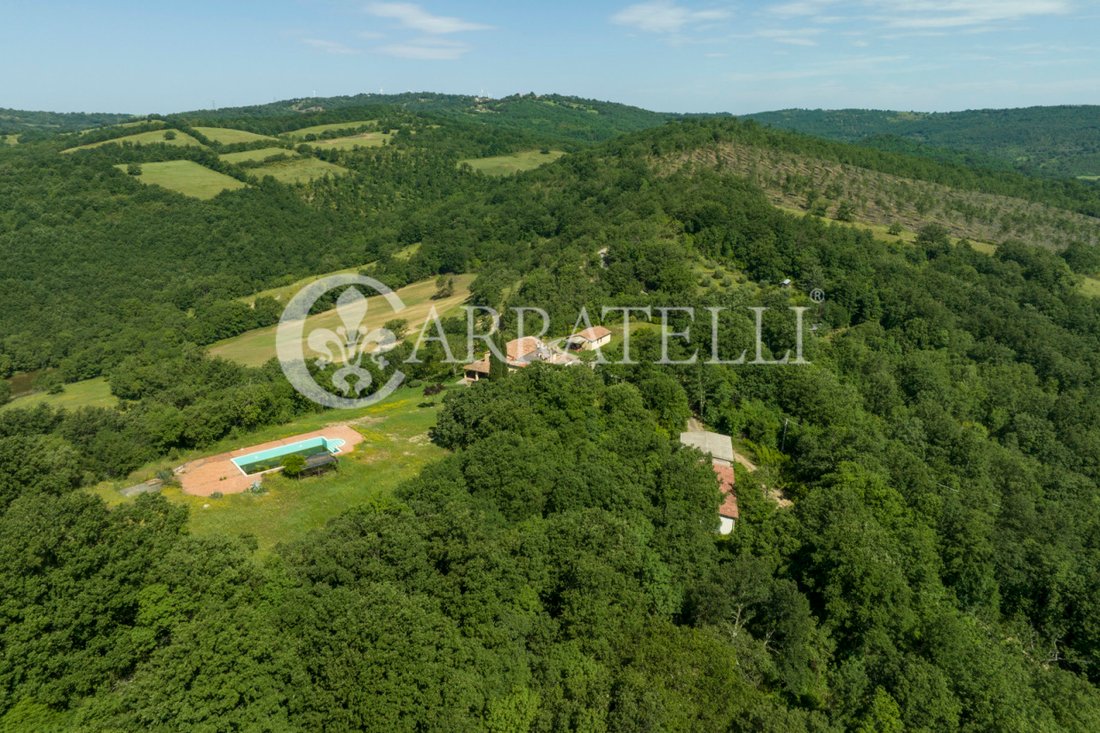 Country House in Scansano, Tuscany, Italy 3 - 12939194