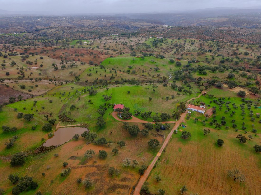 Finca in Vila Verde de Ficalho, Beja District, Portugal 2 - 17123572