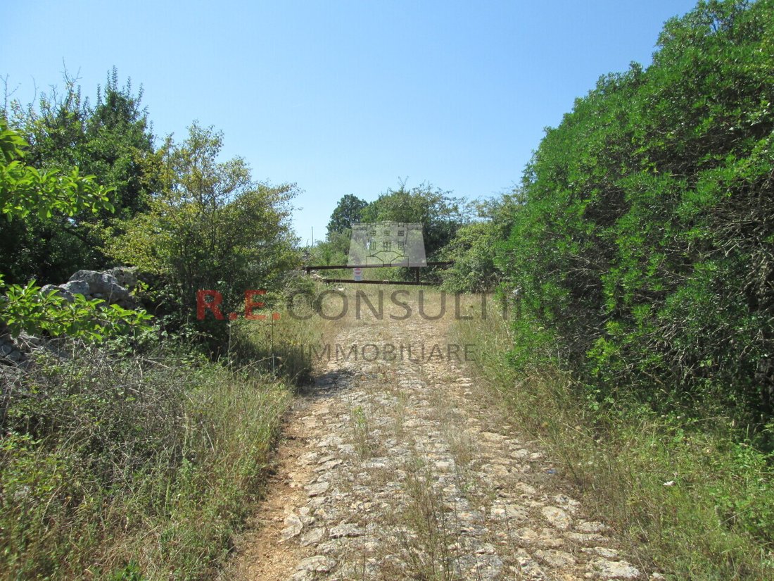 Country House in Paretone - Zone I - Village of the Child, Martina Franca, Apulia 3 - 12830905