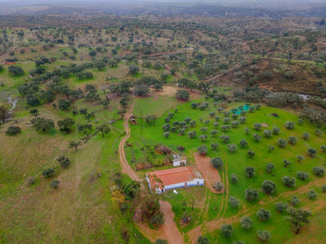 Finca in Vila Verde de Ficalho, Beja District, Portugal 5 - 17123572
