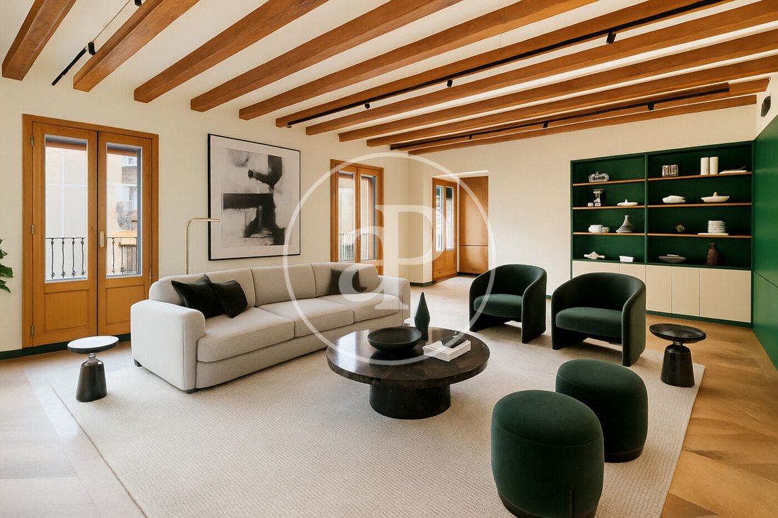 Penthouse in Ciutat Vella, Barcelona, Spain 2 - 16465189