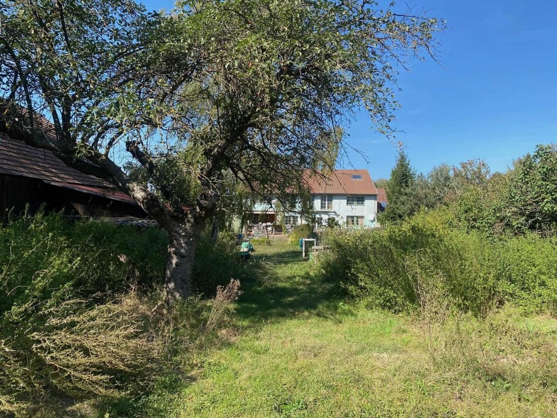 Bogenneusiedl, Lower Austria, Austria 2 - 17132453