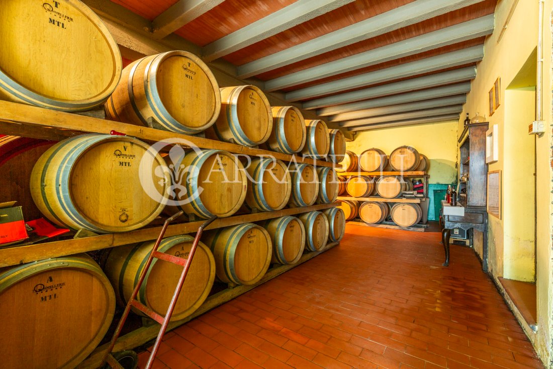Gaiole in Chianti, Tuscany, Italy 1 - 15880159