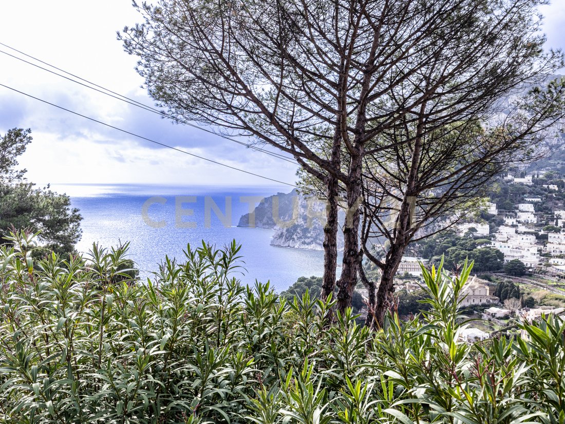 Villa in Capri, Campania, Italy 4 - 17100514