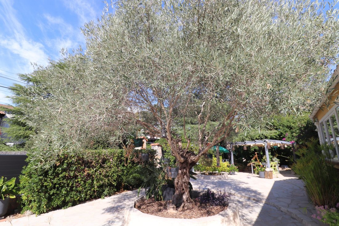 Villa in Mougins, Provence-Alpes-Côte d'Azur, France 3 - 17112957