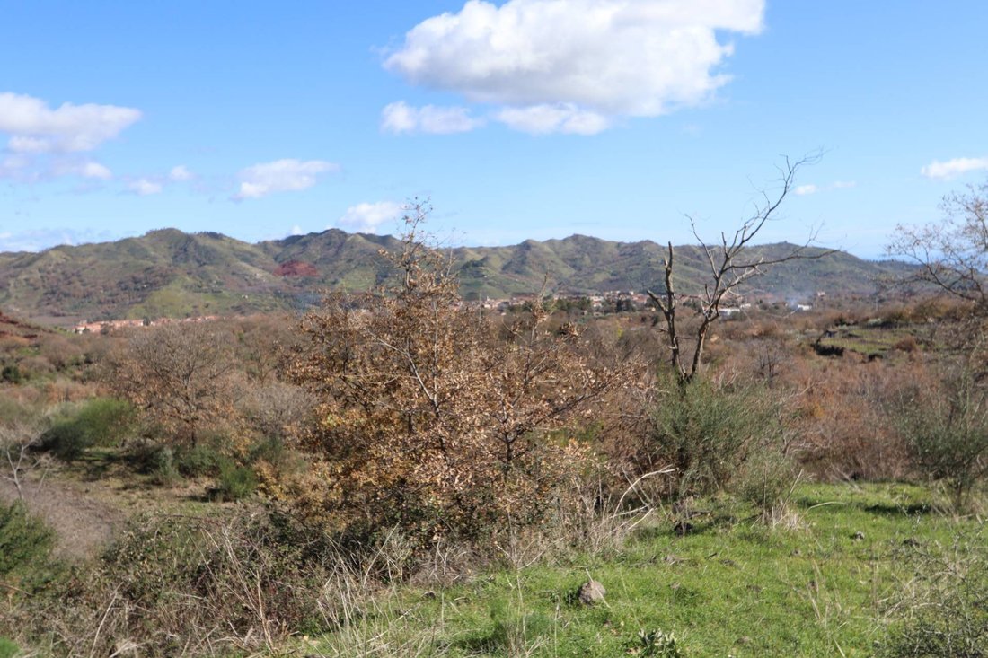 Land in Linguaglossa, Sicily, Italy 4 - 17111333