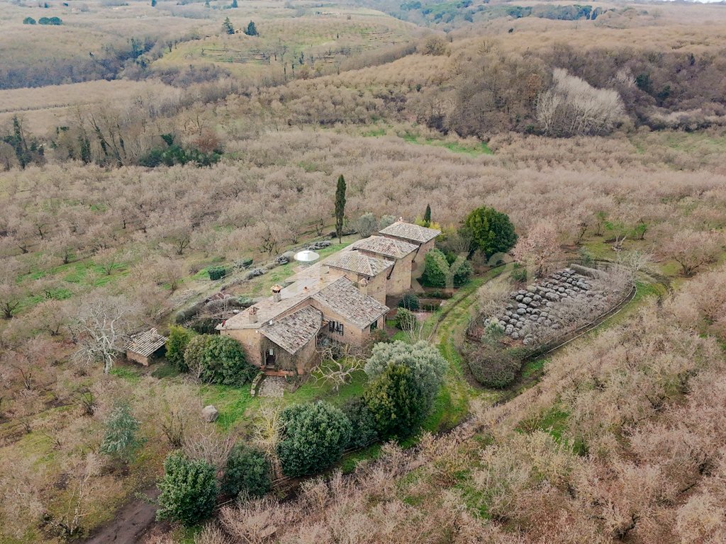 Villa in Capranica, Lazio, Italy 5 - 17100520