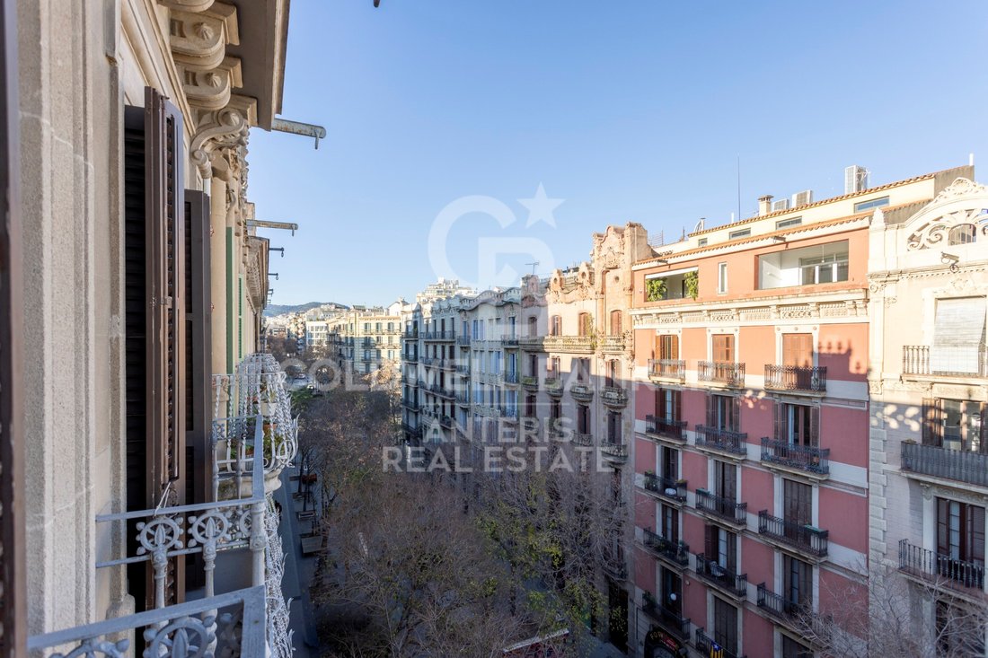 Apartment in Eixample, Barcelona, Spain 4 - 17123313