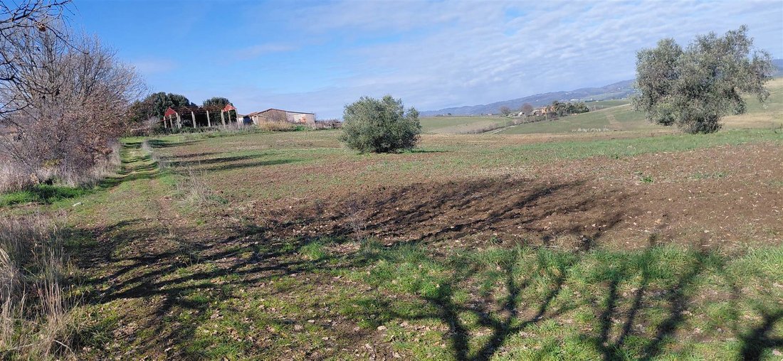 Estate in Scansano, Tuscany, Italy 5 - 17104344