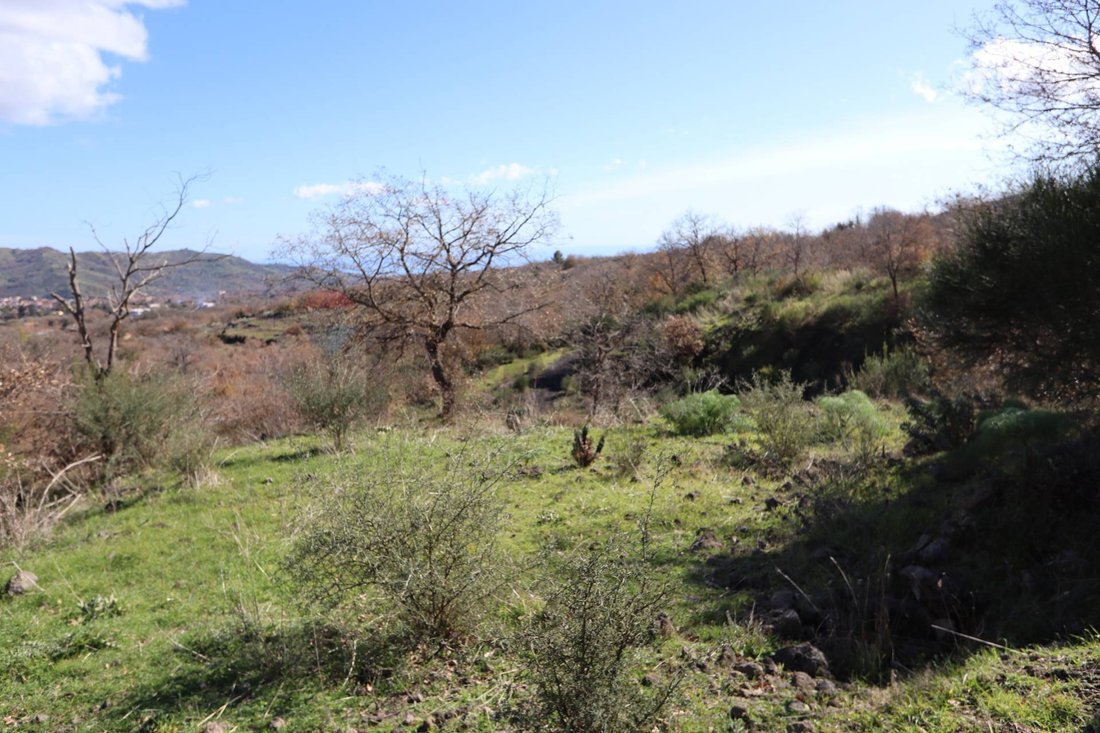 Land in Linguaglossa, Sicily, Italy 5 - 17111333