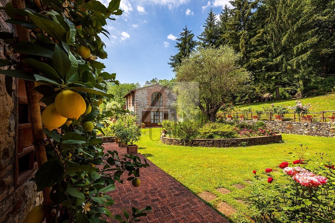 Country House in San Marco, Lucca, Italy 4 - 11988381
