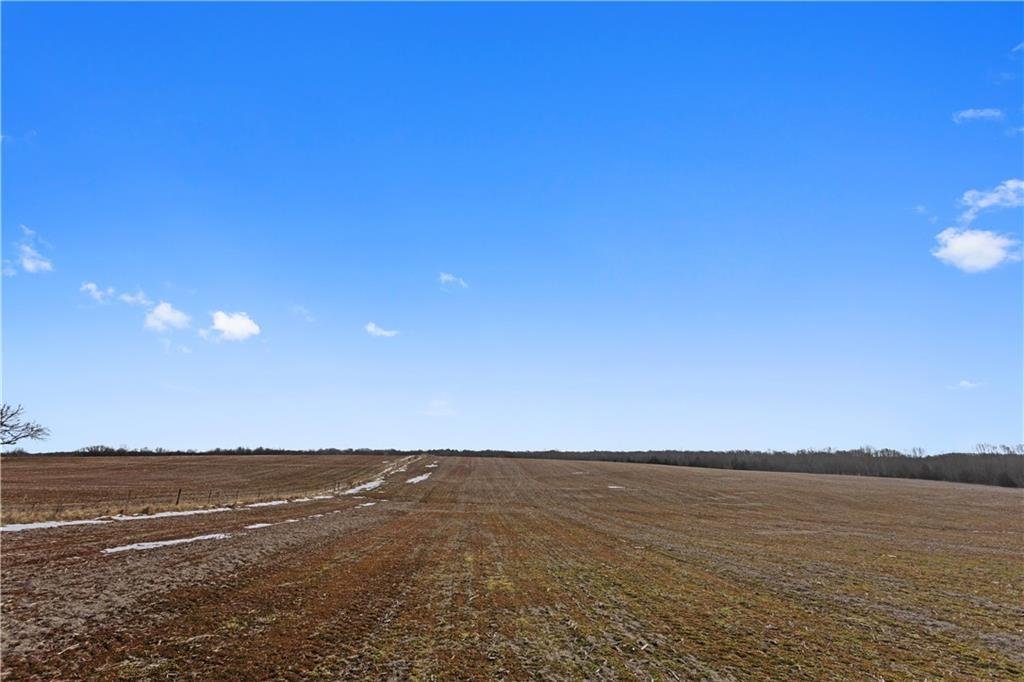 Trimble, Missouri, United States 5 - 17126824