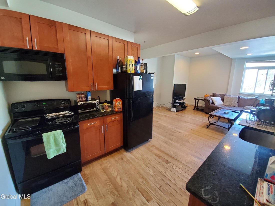 Albany, New York, United States 4 - 17098865