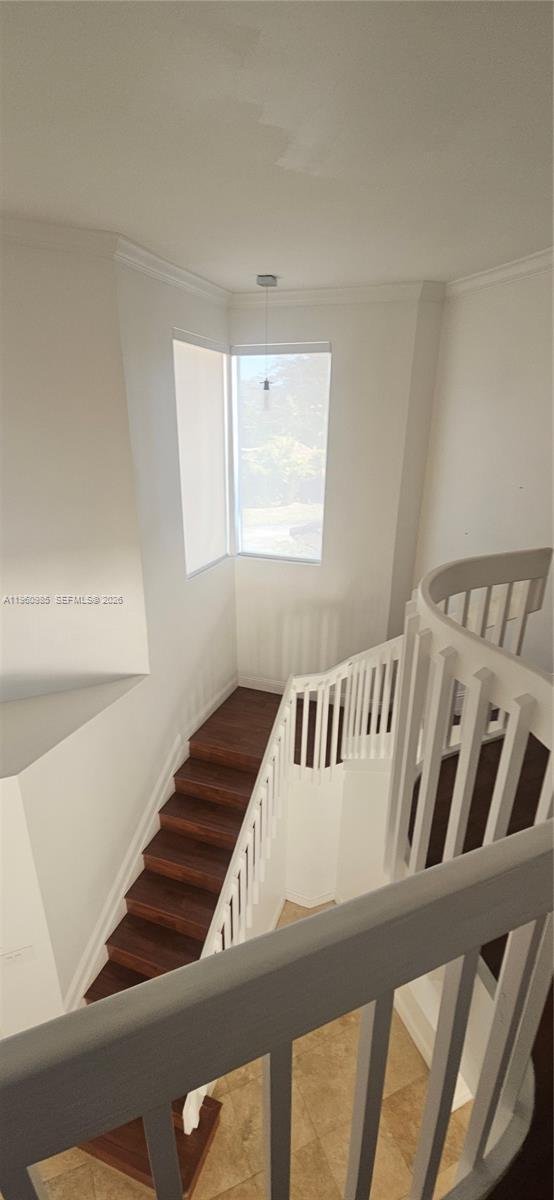 House in West Miami, Florida, United States 3 - 17102375
