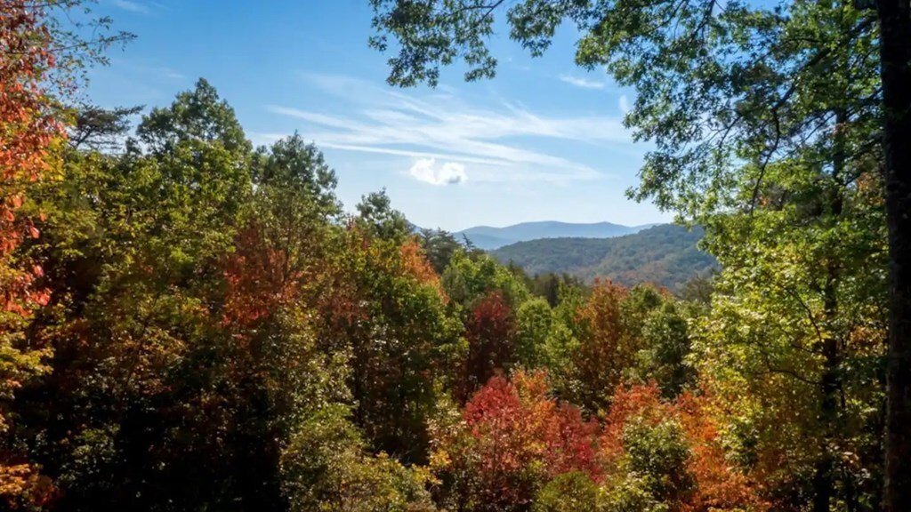 House in Cherry Log, Georgia, United States 3 - 17102516