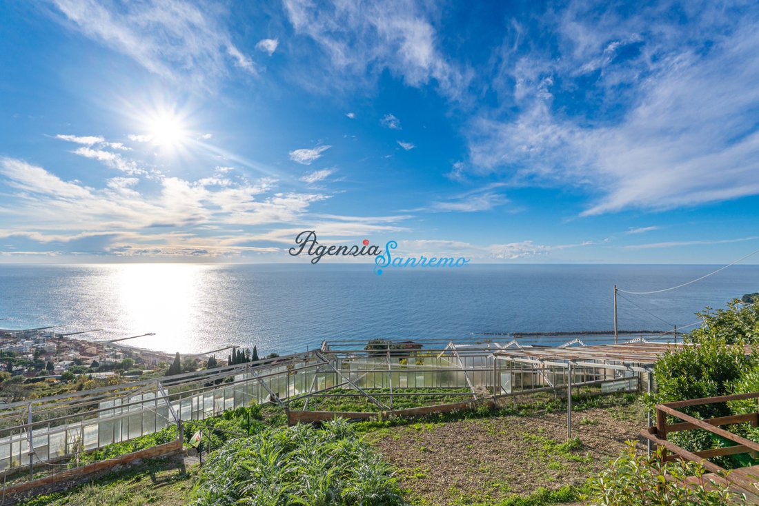 Marconi - Porrine, Ospedaletti, Liguria 3 - 16994565