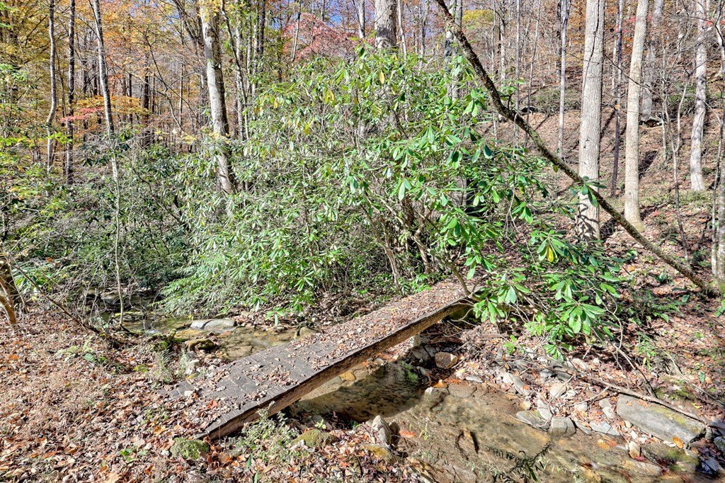 House in Brasstown, North Carolina, United States 5 - 17102670