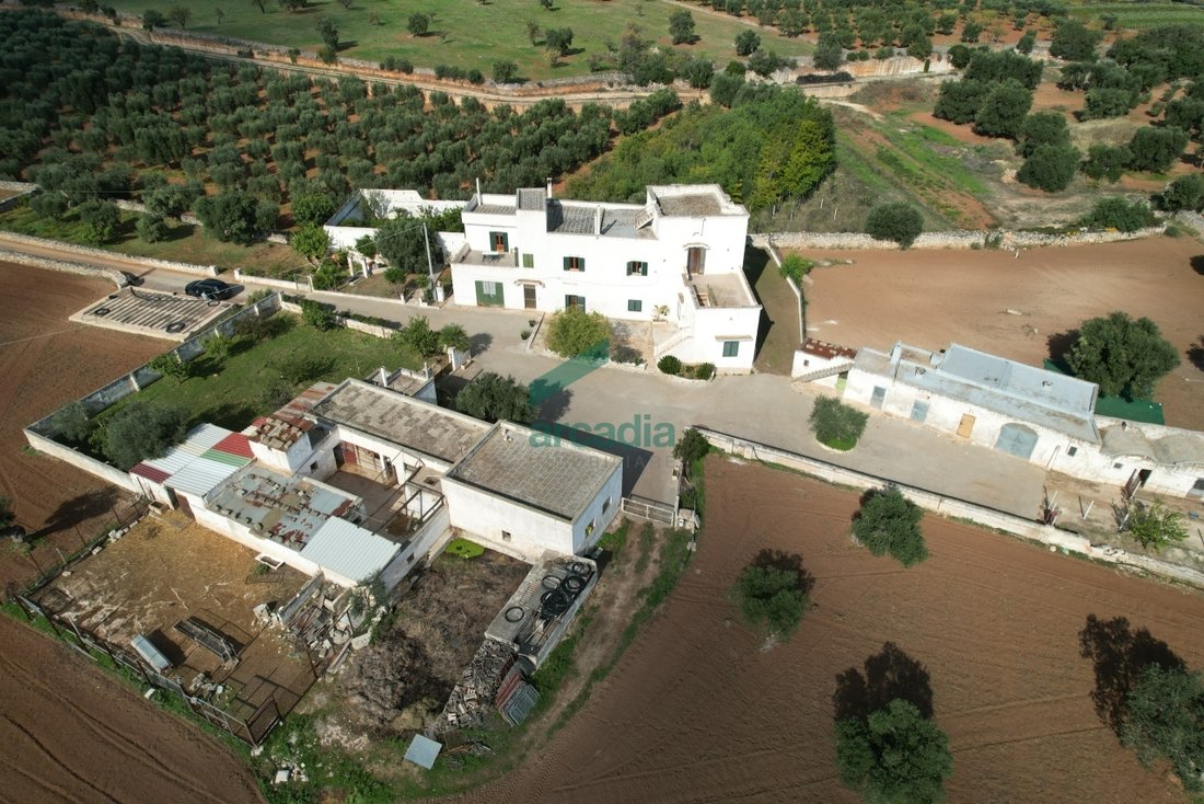 Country House in Impalata - Santa Lucia - The Assumption, Monopoli, Apulia 5 - 16542961