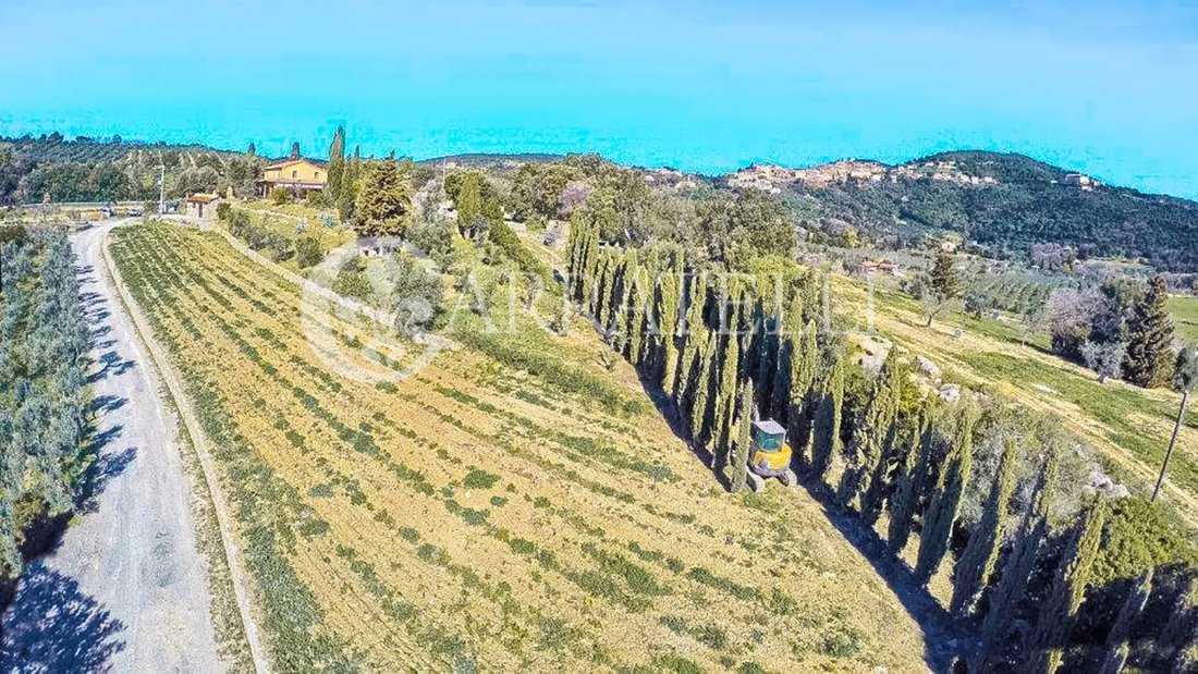 Country House in Center, Campiglia Marittima, Tuscany 5 - 15550637