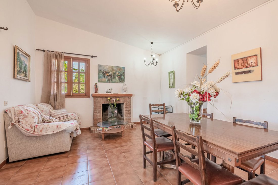 Finca in ses Salines, Balearic Islands, Spain 4 - 17100064