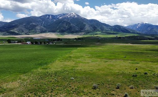 Land in Swan Valley, Idaho, United States 1