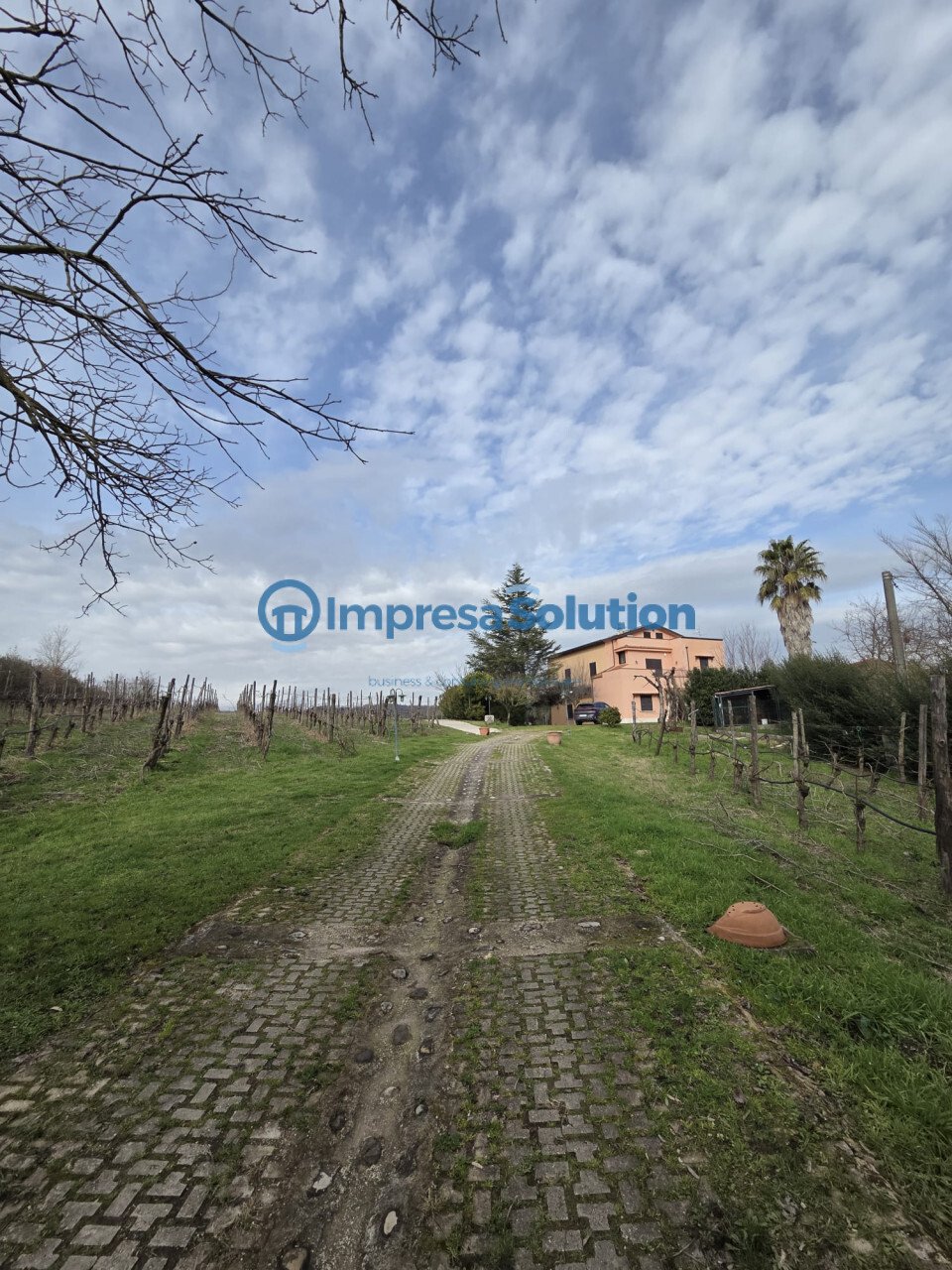 Villa in Dugenta, Campania, Italy 5 - 17105128