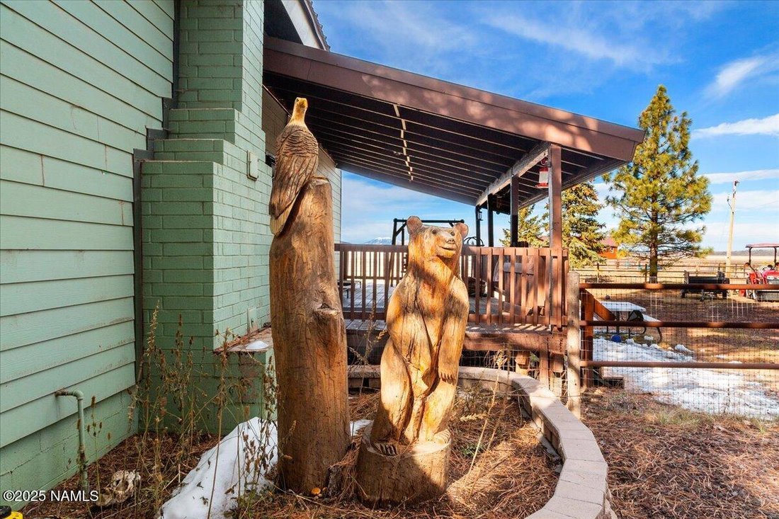 House in Mormon Lake, Arizona, United States 4 - 17102004