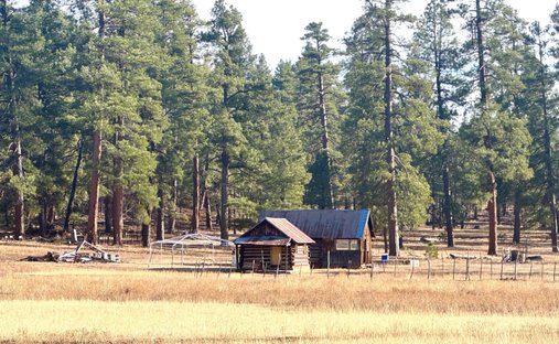 House in Flagstaff, Arizona, United States 1